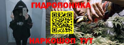 марки lsd Заводоуковск