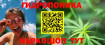 марки lsd Заводоуковск