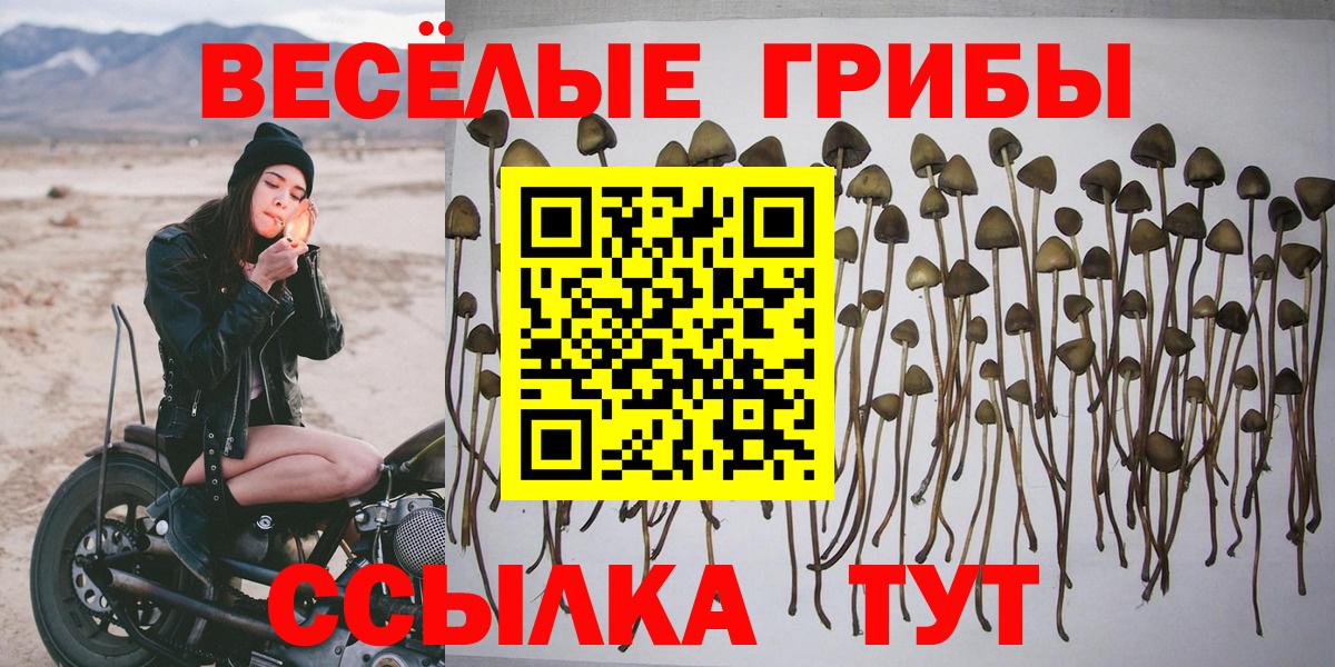 Галлюциногенные грибы Magic Shrooms Элиста